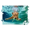 Customized Pet Photo Puzzle, Landscape/Horizontal - 500 Pieces